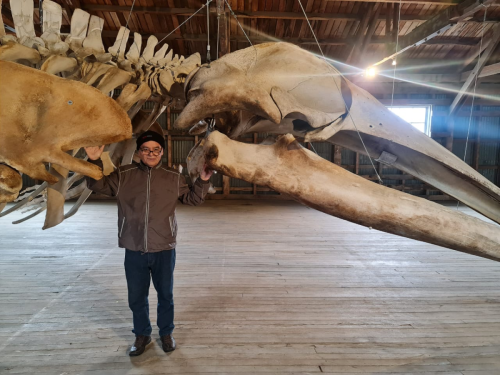 PHOTO-2023-11-16-18-23-49