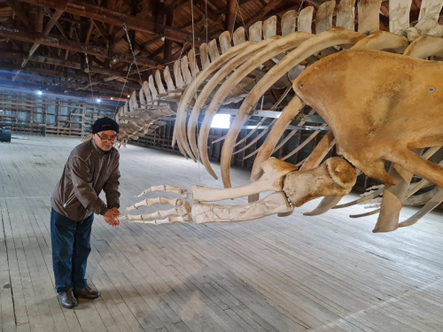 PHOTO-2023-11-16-18-23-50